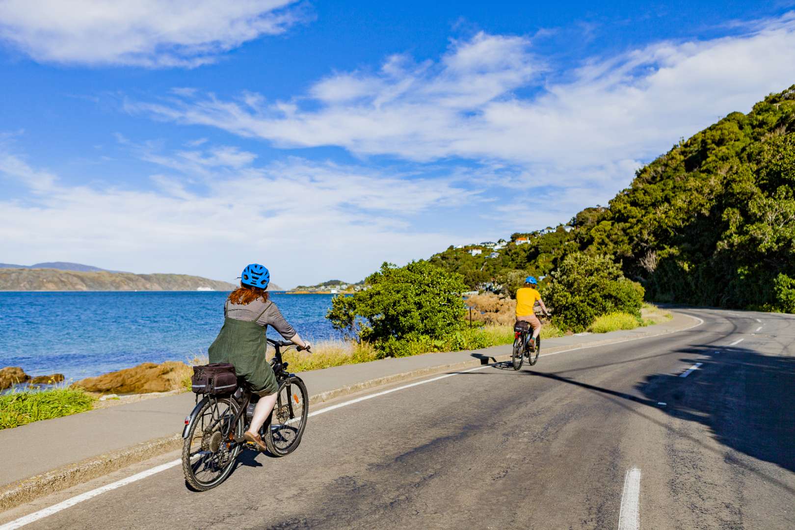 Wellington Cycling